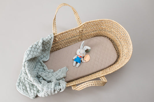 Taf Toys - Rylee The Bunny - Marah Kids