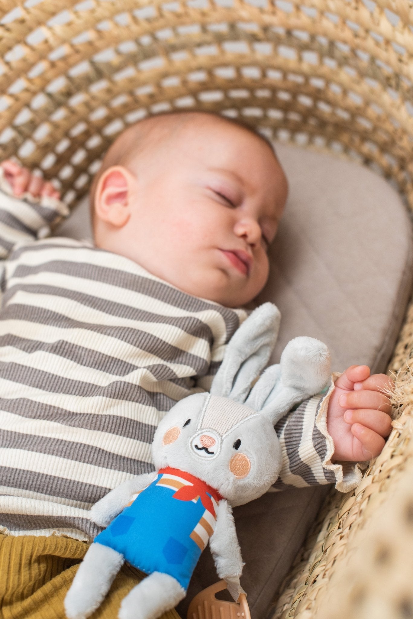 Taf Toys - Rylee The Bunny - Marah Kids