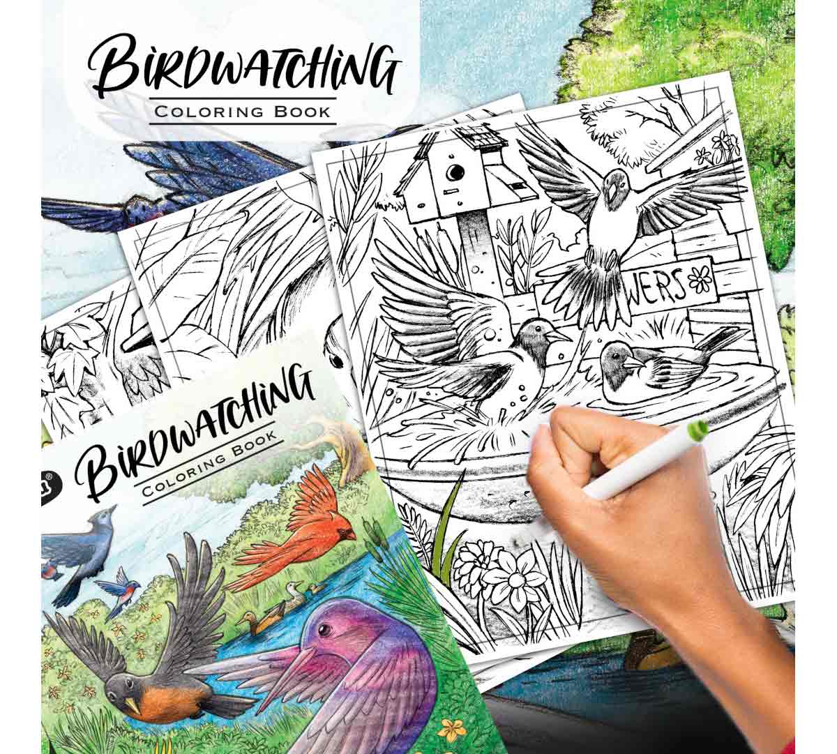 Crayola 40 - Page Coloring Book, Bird Watching - Marah Kids