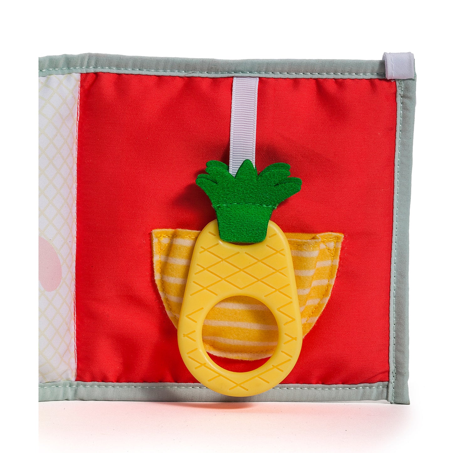 Taf Toys 3 in 1 Baby Book