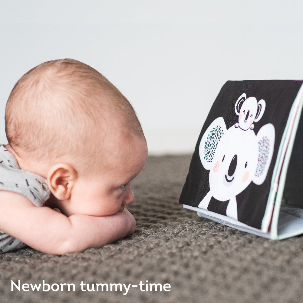 Taf Toys Tummy-Time book