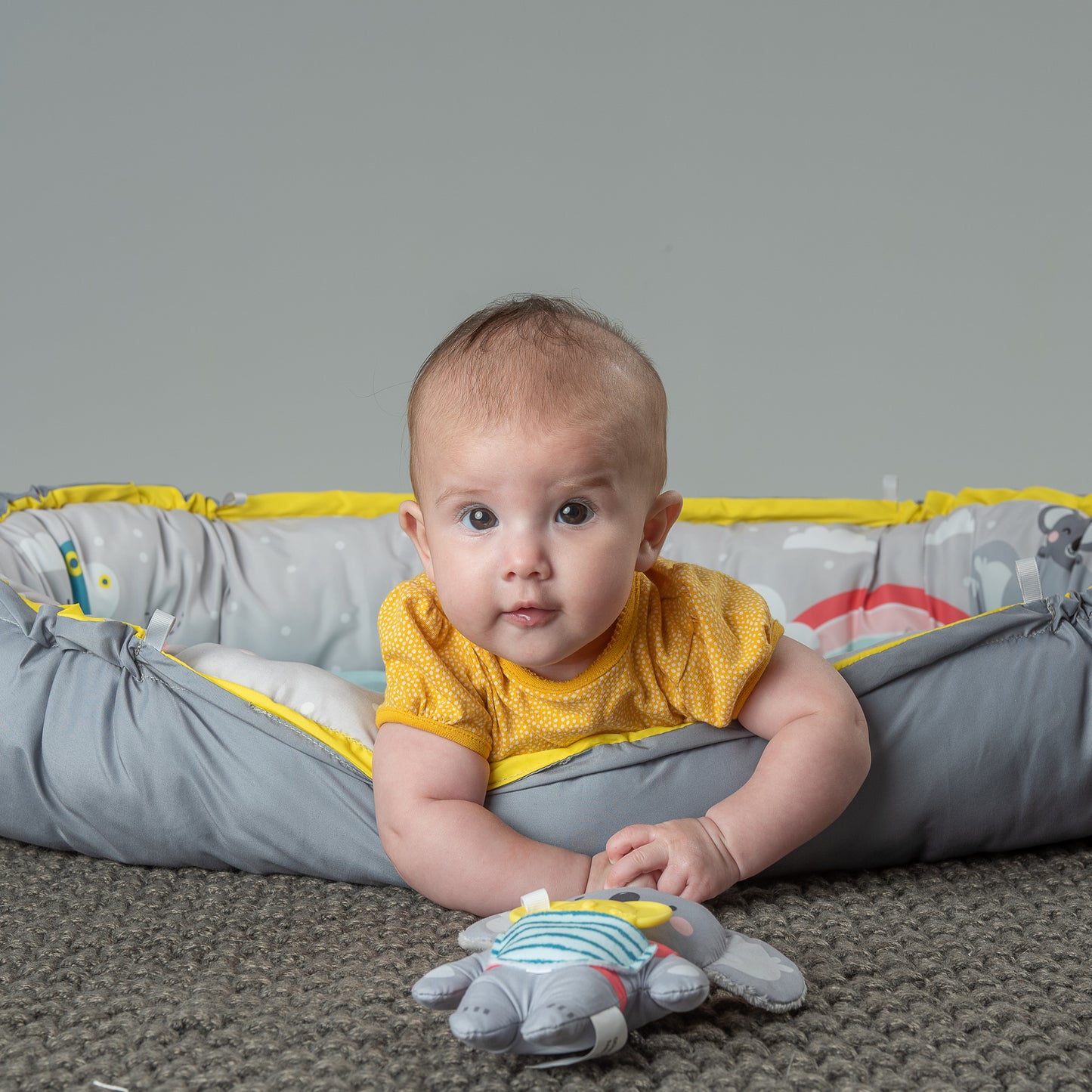 Taf Toys Koala musical newborn cosy gym
