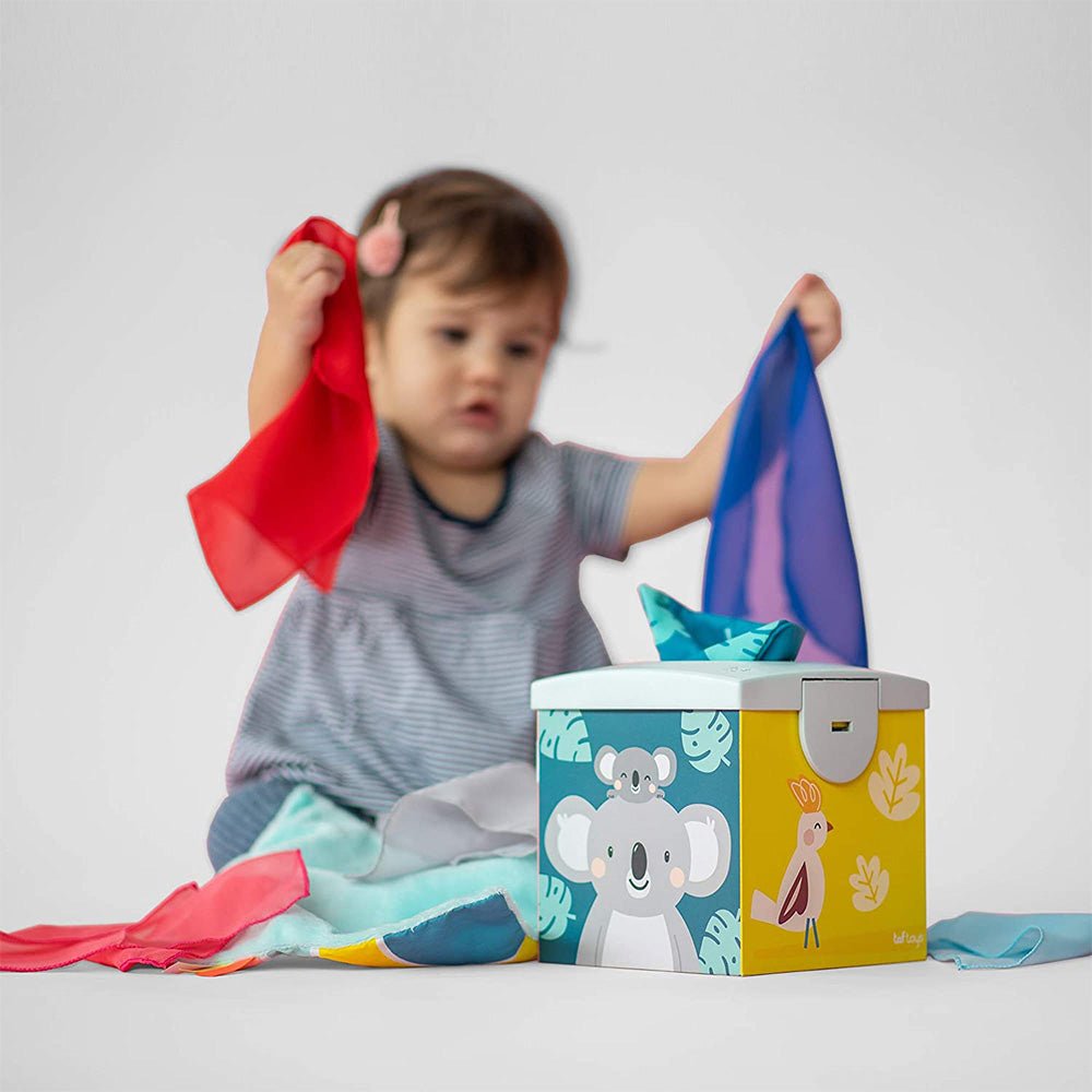 Taf Toys Kimmy Koala Wonder Tissue Box - Marah Kids
