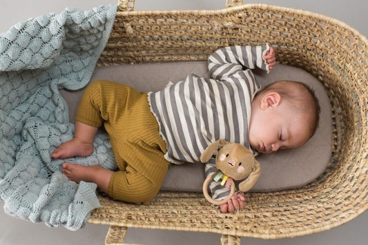 Taf Toys - Jenny Bunny Rattle - Marah Kids