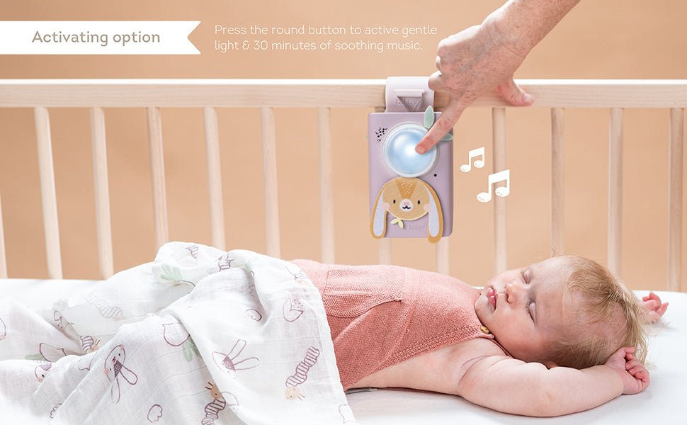 Taf Toys - Bunny Soother & Swaddle Set - Marah Kids