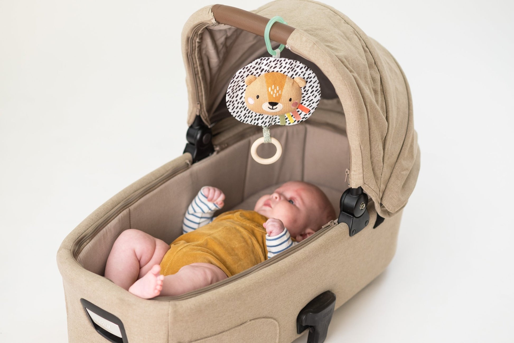 Taf Toys - Harry Musical Lion - Marah Kids