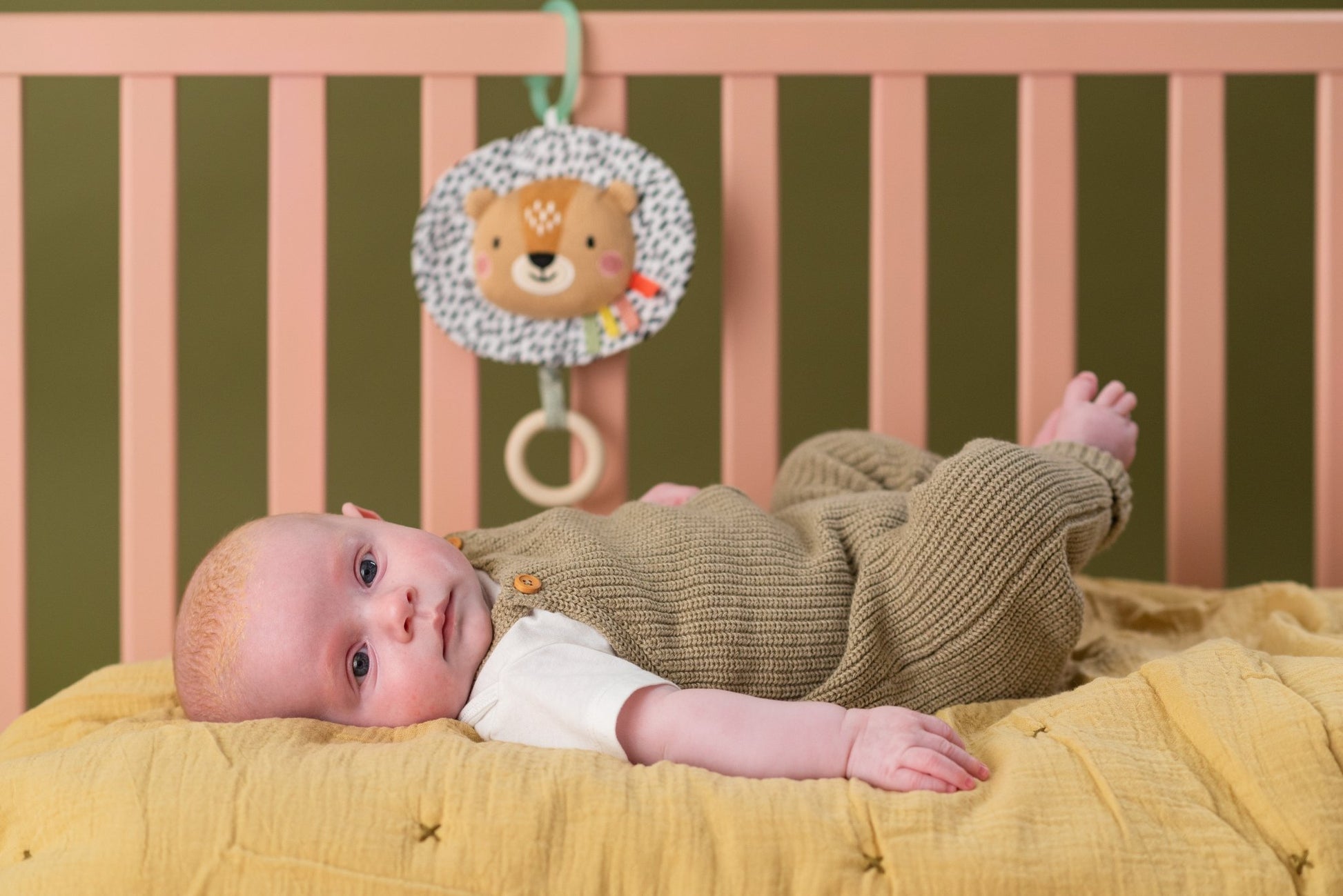 Taf Toys - Harry Musical Lion - Marah Kids