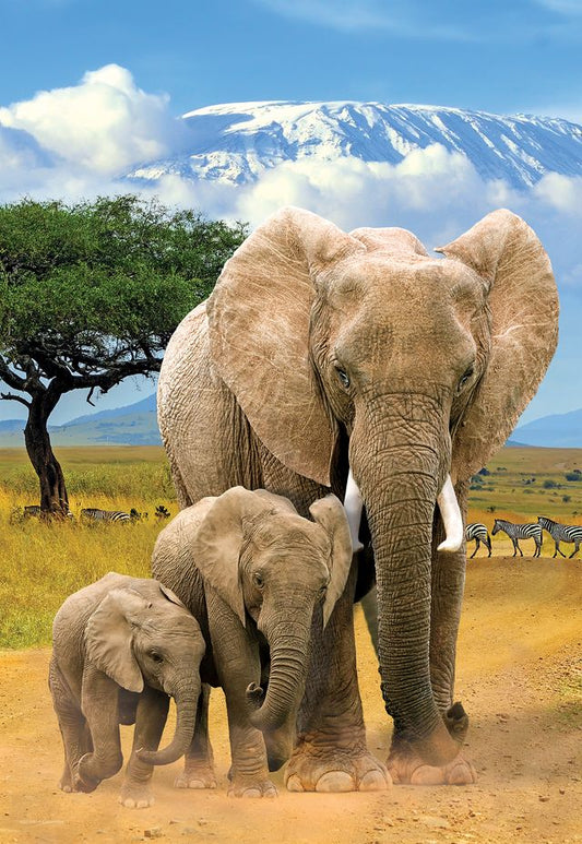 Eurographics Puzzle 250 Elephants - Marah Kids