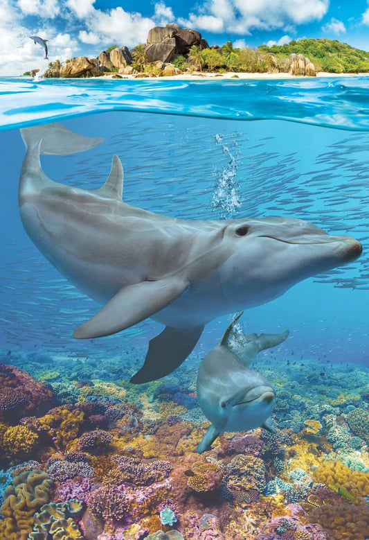 Eurographics Puzzle 250 Dolphins - Marah Kids