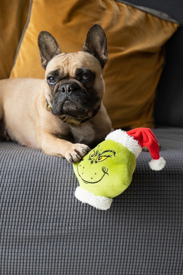 Fizz Creation Grinch Dog Toy Grinch - Marah Kids