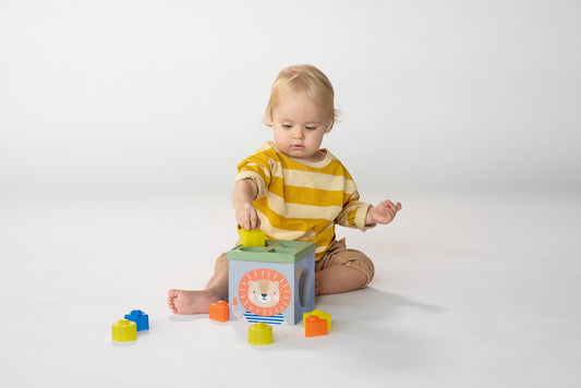 Taf Toys Savannah Sort & Stack | Stacking, Sorting & Learning, 12M+ - Marah Kids