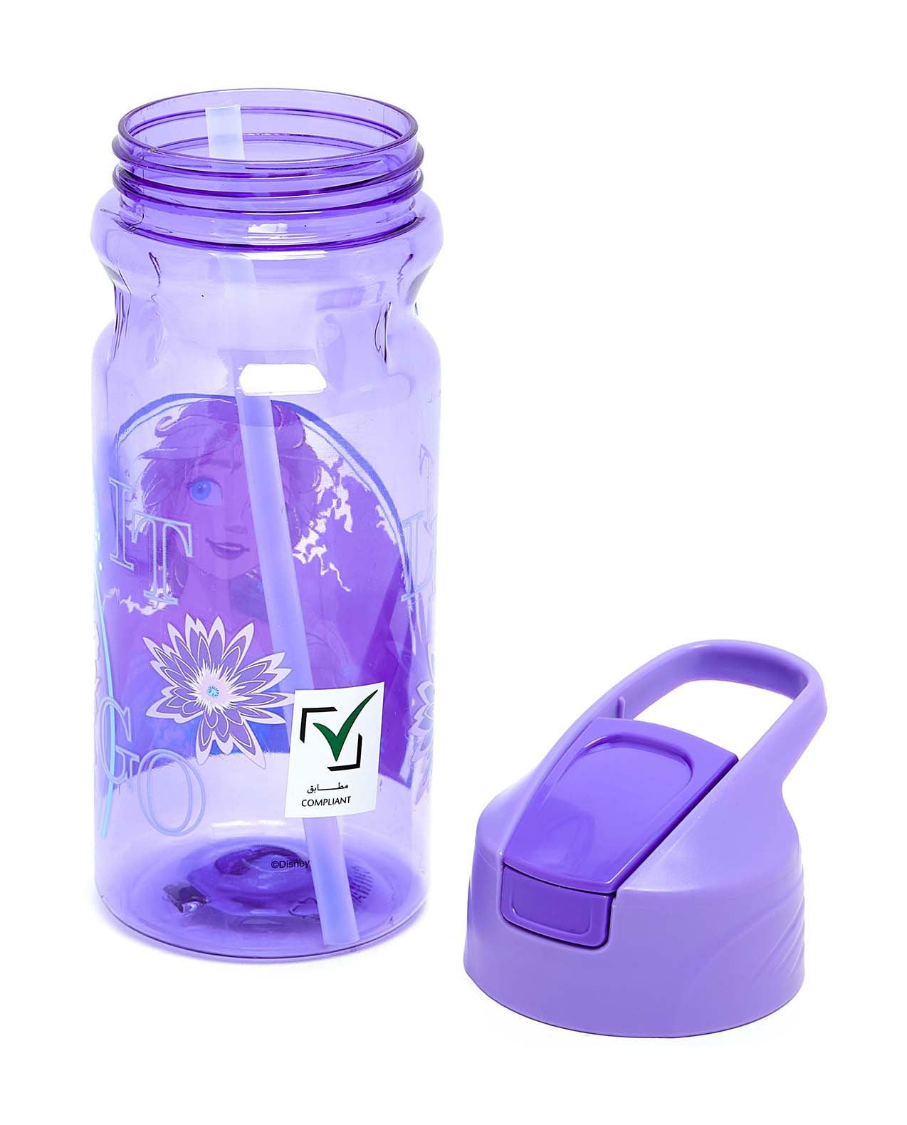 DISNEY FROZEN FIND YOUR DESTINY WATER BOTTLE - Marah Kids