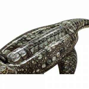 BESTWAY Rider Realistic Reptile 193X94Cm - Marah Kids