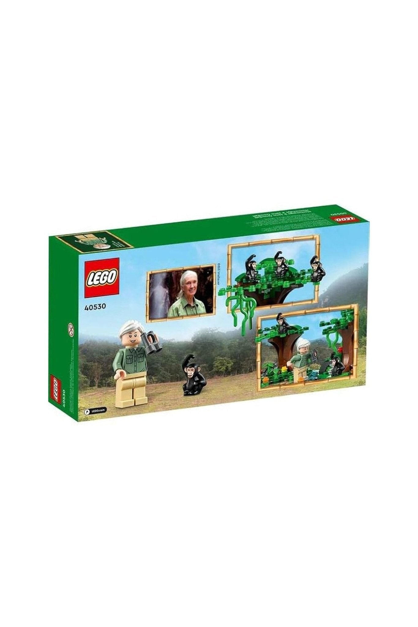 Lego 40530 Tribute To Jane Goodall - Marah Kids