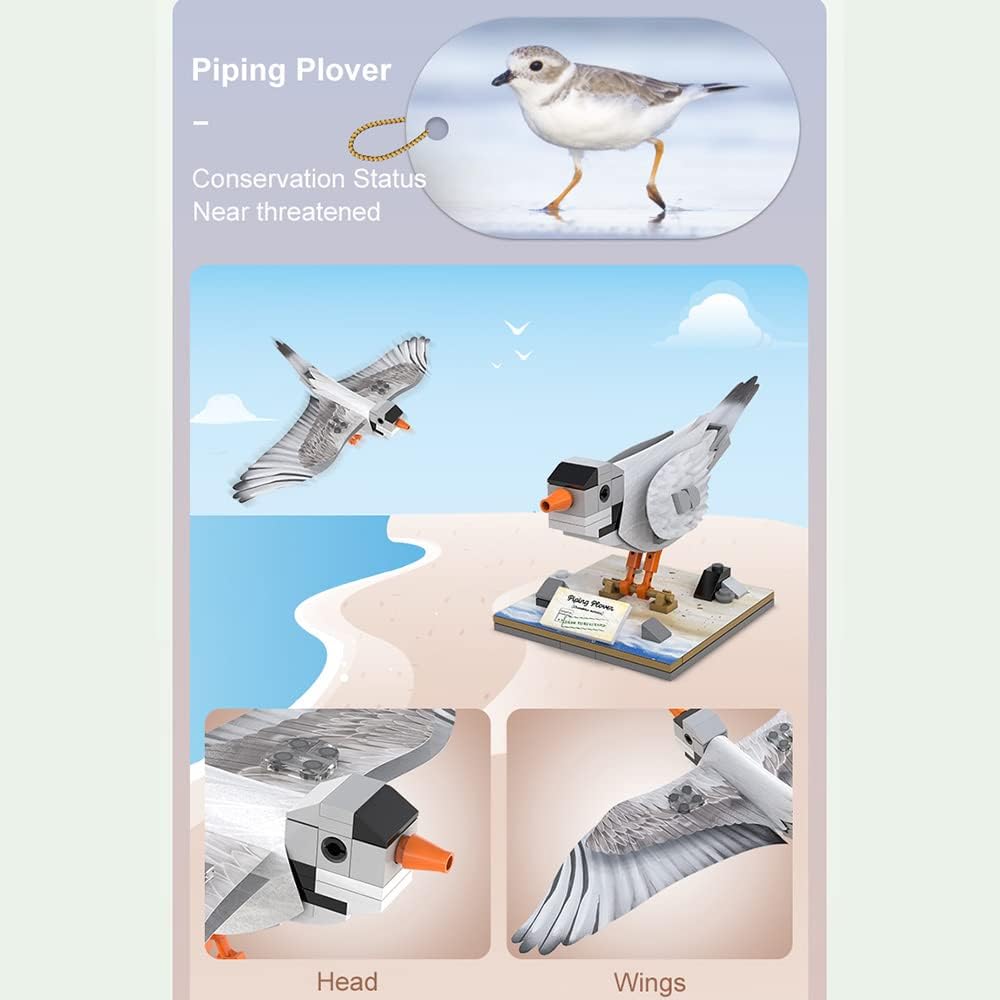 Cada Endless Creativity - Montessori - DIY Endangered Birds - Marah Kids