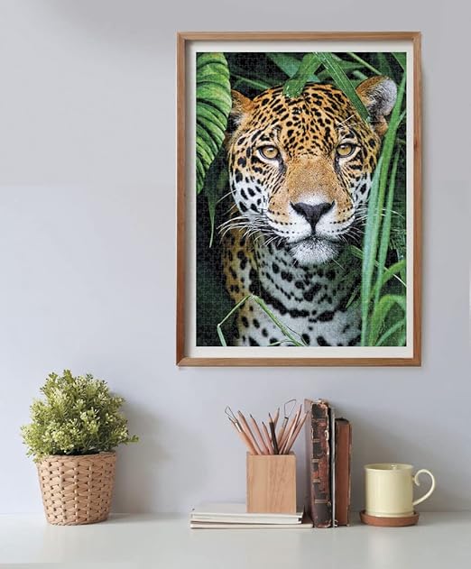 CLEMENTONI PUZZLE HQC JAGUAR IN JUNGLE 500PCS - Marah Kids