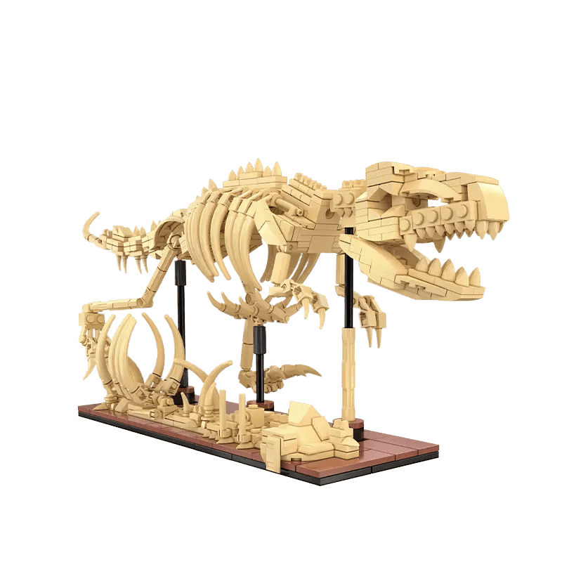 Cada Dinosaur Fossils: Stegosaurus - Marah Kids