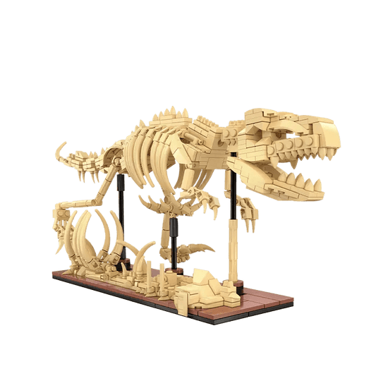 Cada Dinosaur Fossils: Stegosaurus - Marah Kids