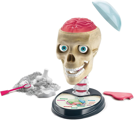 CLEMENTONI Science & Play Crazy Anatomy Lab - Marah Kids