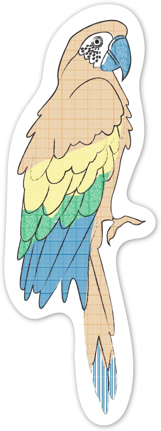 Avenir - Paint by Water - Bookmarks - Bird Multicolour | Paint by Water Art lets little ones discover easy, fun painting - with no mess! | Ages 3+ - Marah Kids