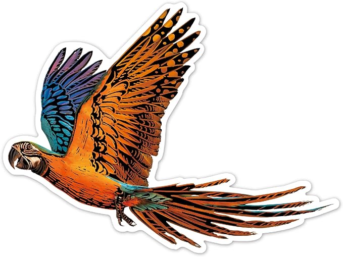 Avenir - Scratch Stickers - Bird Multicolour | Decorate and colour the 4 ferocious stickers with scratch art | For ages 3 years+ - Marah Kids