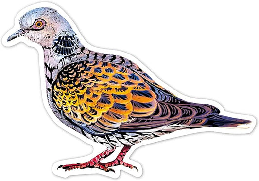 Avenir - Scratch Stickers - Bird Multicolour | Decorate and colour the 4 ferocious stickers with scratch art | For ages 3 years+ - Marah Kids