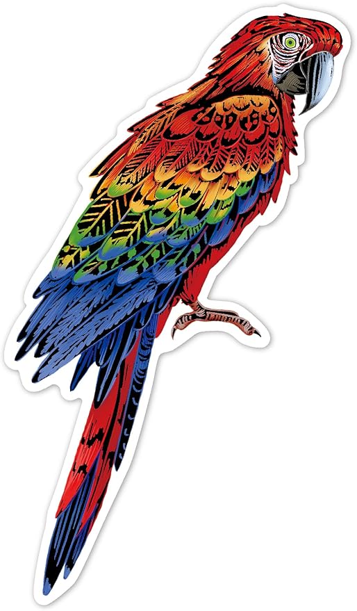 Avenir - Scratch Stickers - Bird Multicolour | Decorate and colour the 4 ferocious stickers with scratch art | For ages 3 years+ - Marah Kids