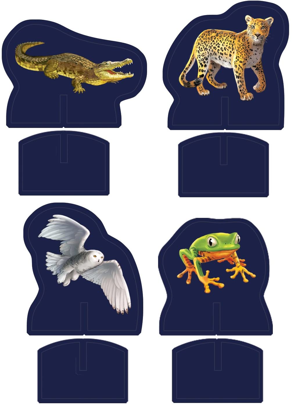 Leapfrog Leapreader™ Animal Adventure Quest - Marah Kids