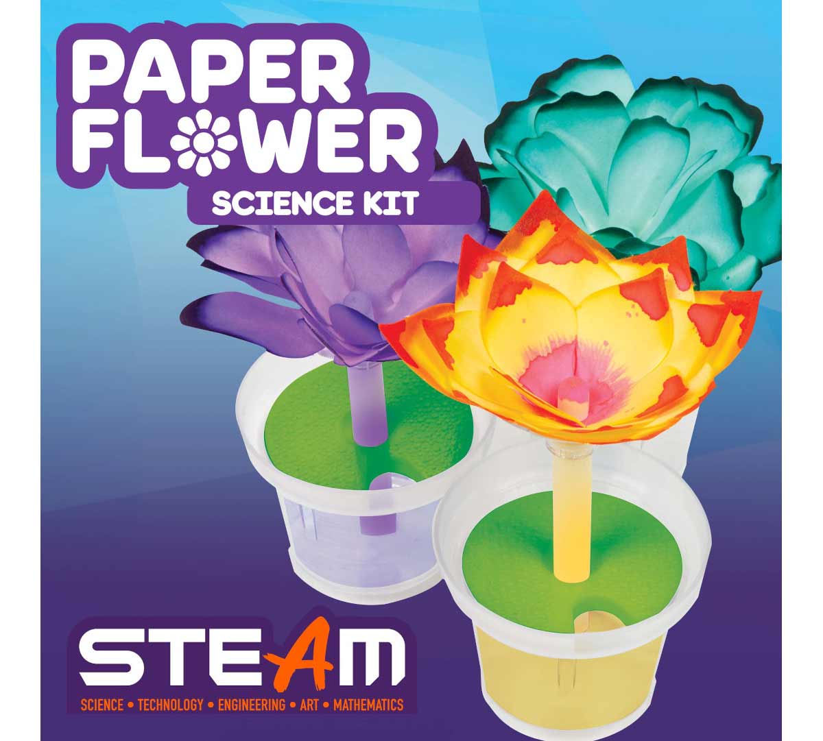 Crayola Paper Flower Science Kit - Marah Kids