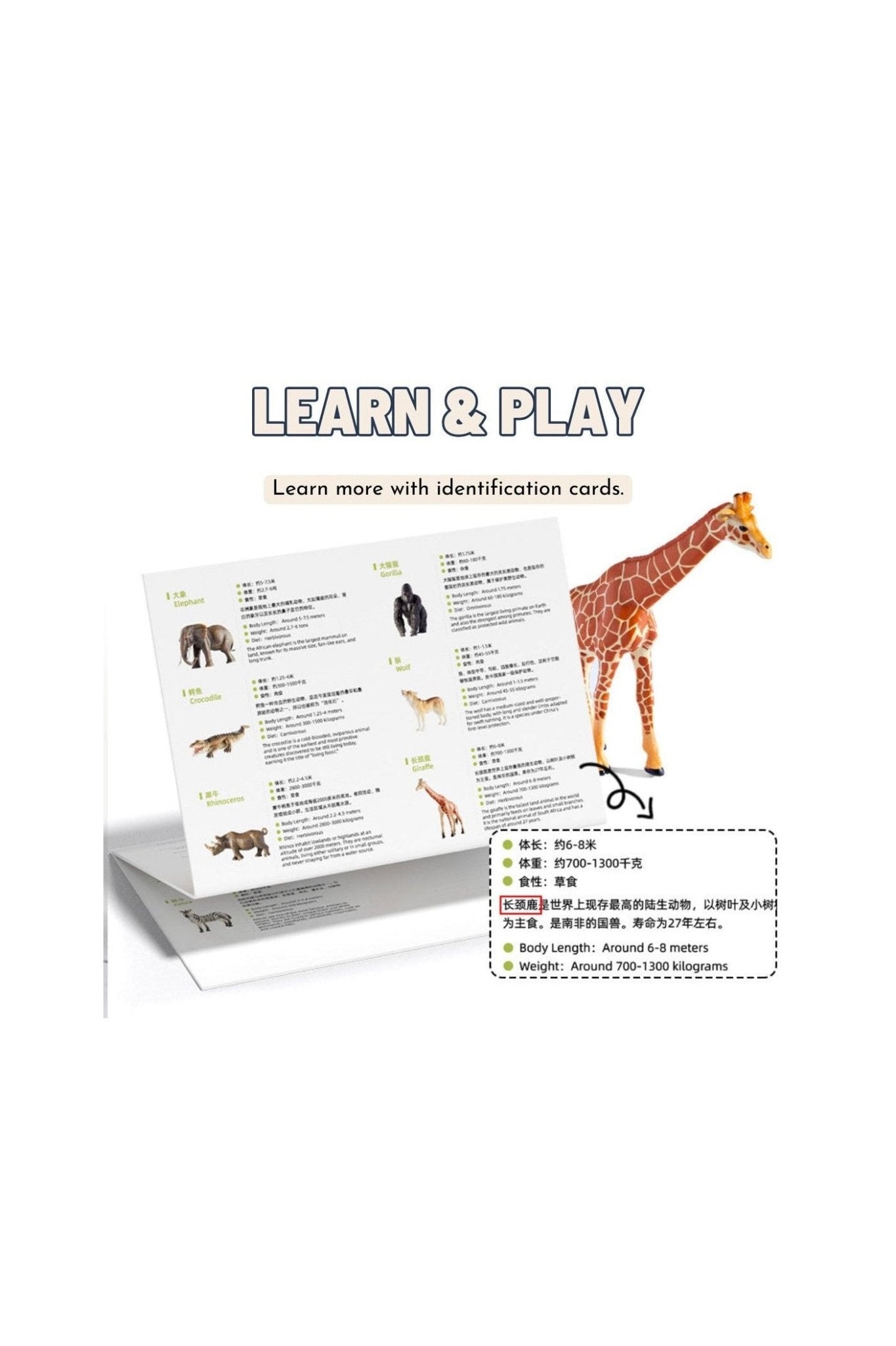 Safari Animals - 15Pcs - Marah Kids
