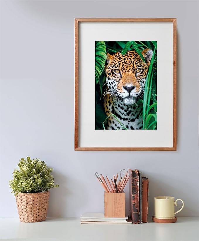 CLEMENTONI PUZZLE HQC JAGUAR+POSTER 500PCS - Marah Kids