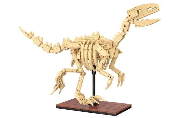 Cada Dinosaur Fossils: Velociraptor - Marah Kids