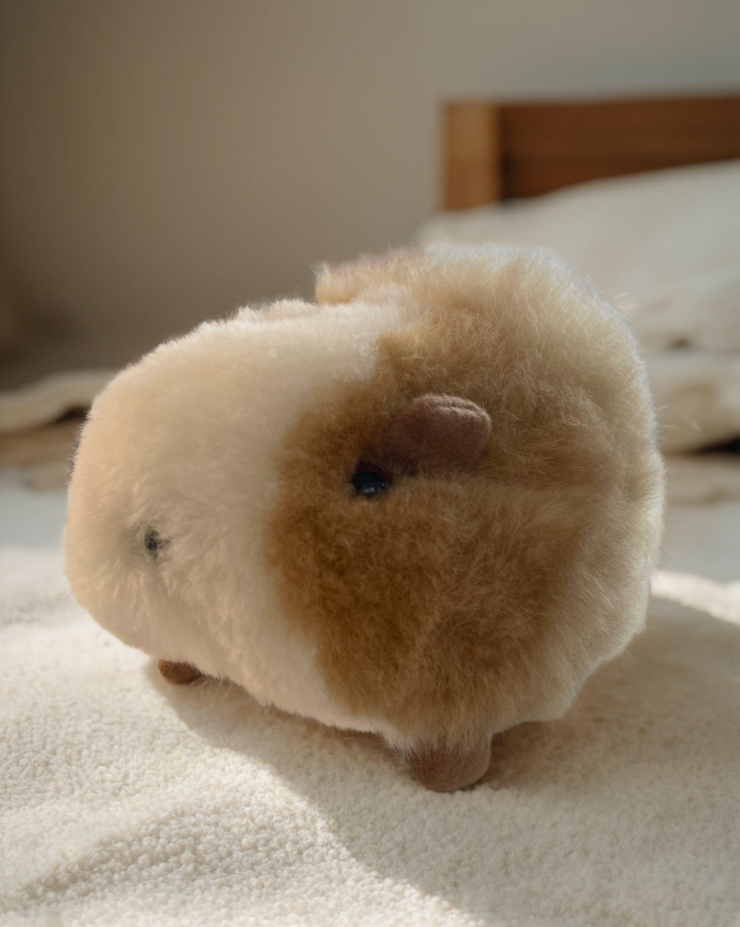 Chami Guinea Pig – Camel TA - C15CA - Marah Kids
