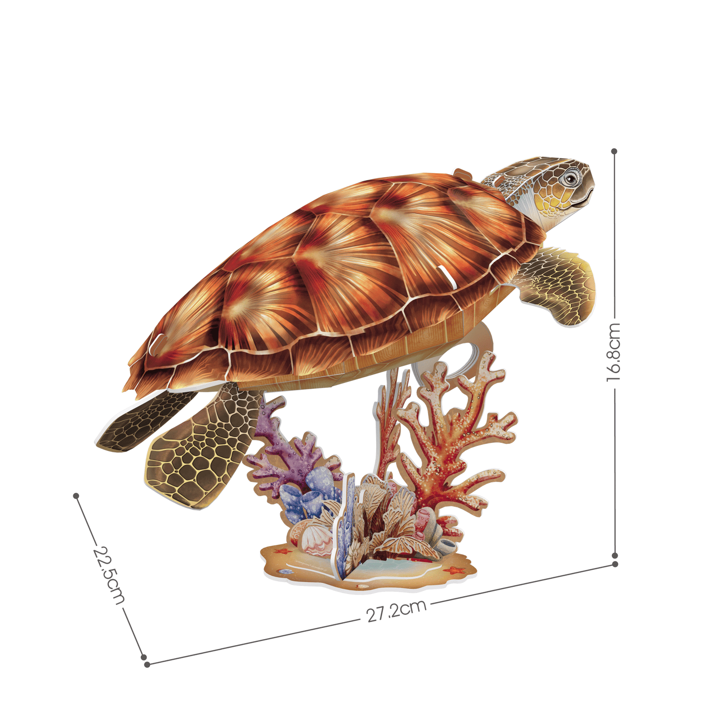 CUBIC FUN NGEO 3D PUZZLE SEA TURTLE 31PCS - Marah Kids