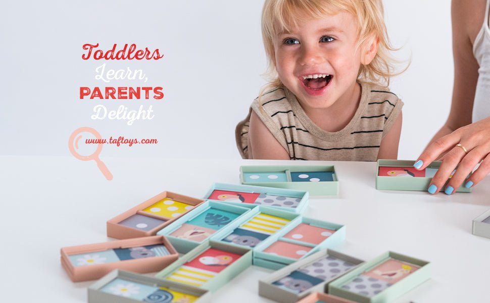 Taf Toys Domino Rally Block | XL Dominoes Set, Ages 30M+ - Marah Kids