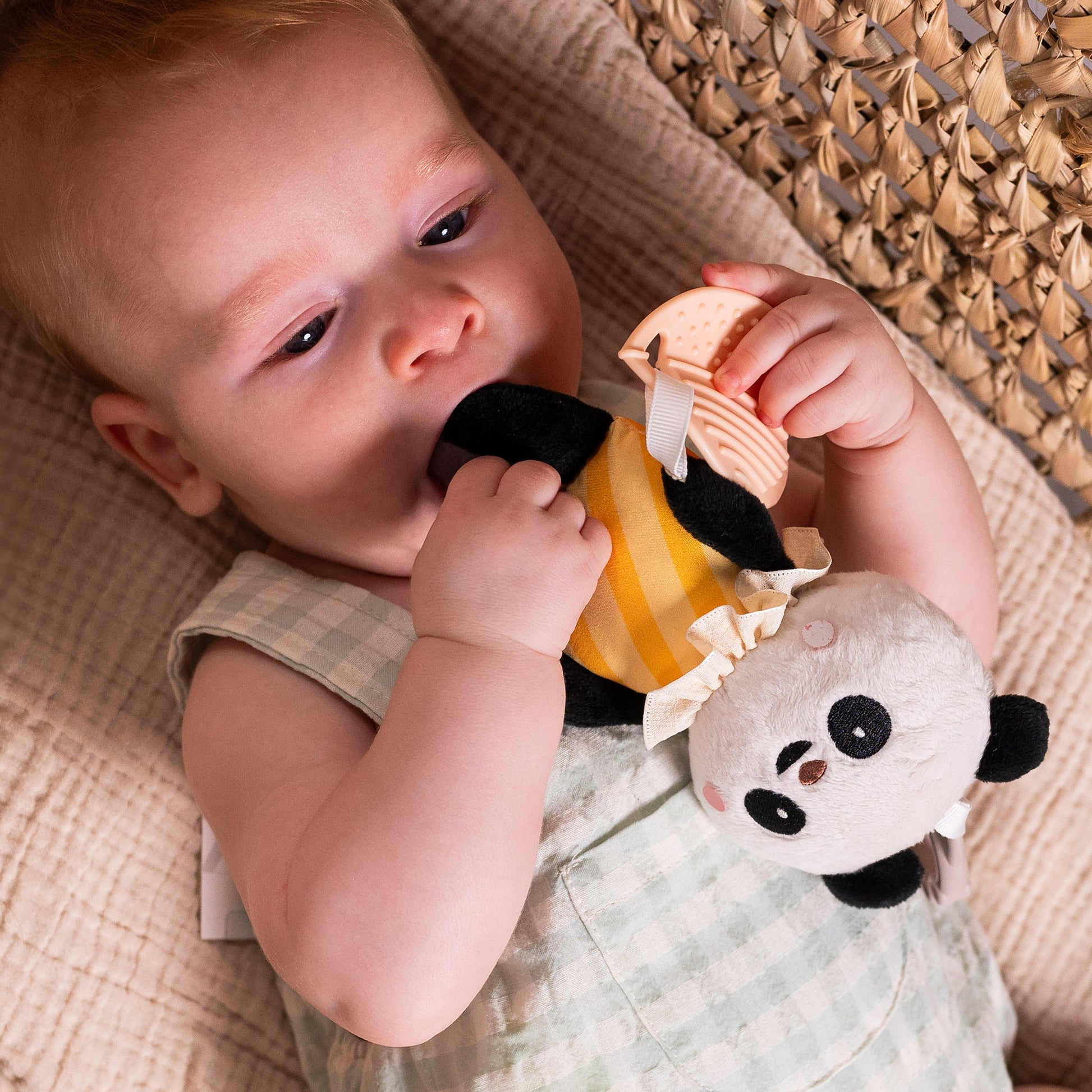 Taf Toys - Pamela Activity Toy - Marah Kids