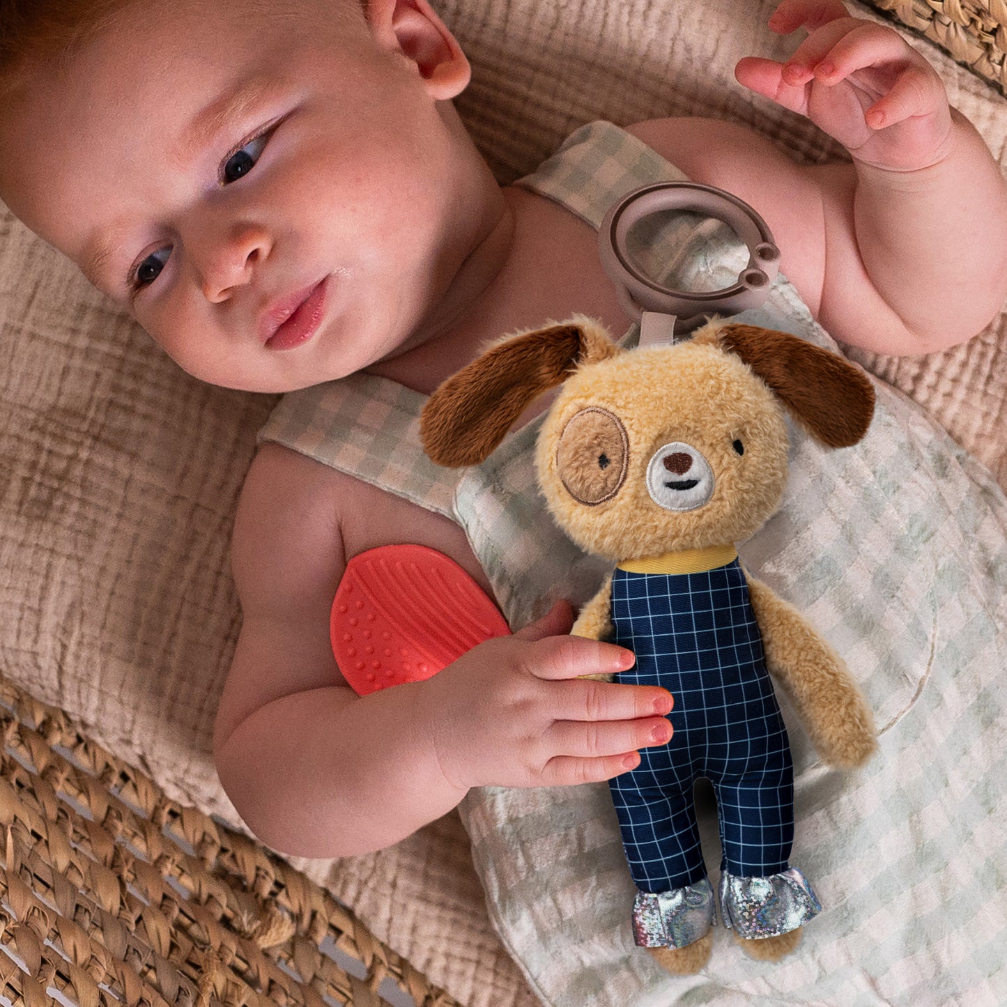 Taf Toys - Daniel Activity Toy