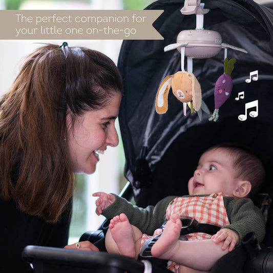 Taf Toys - Garden Take - Along Mobile - Marah Kids