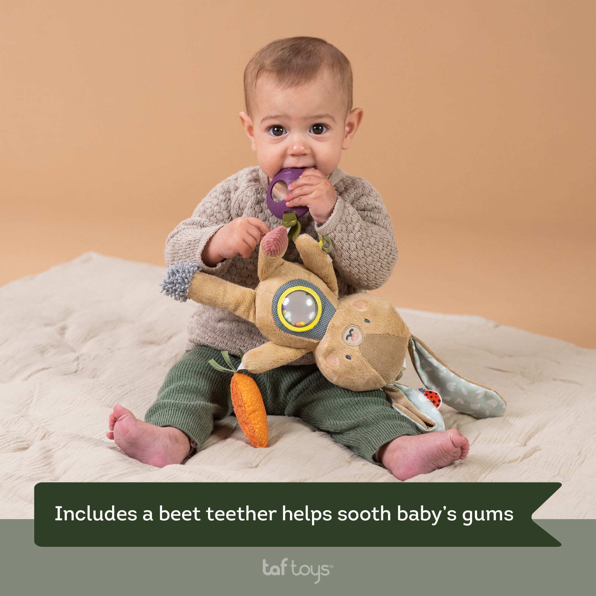 Taf Toys - Jenny Activity Toy - Marah Kids