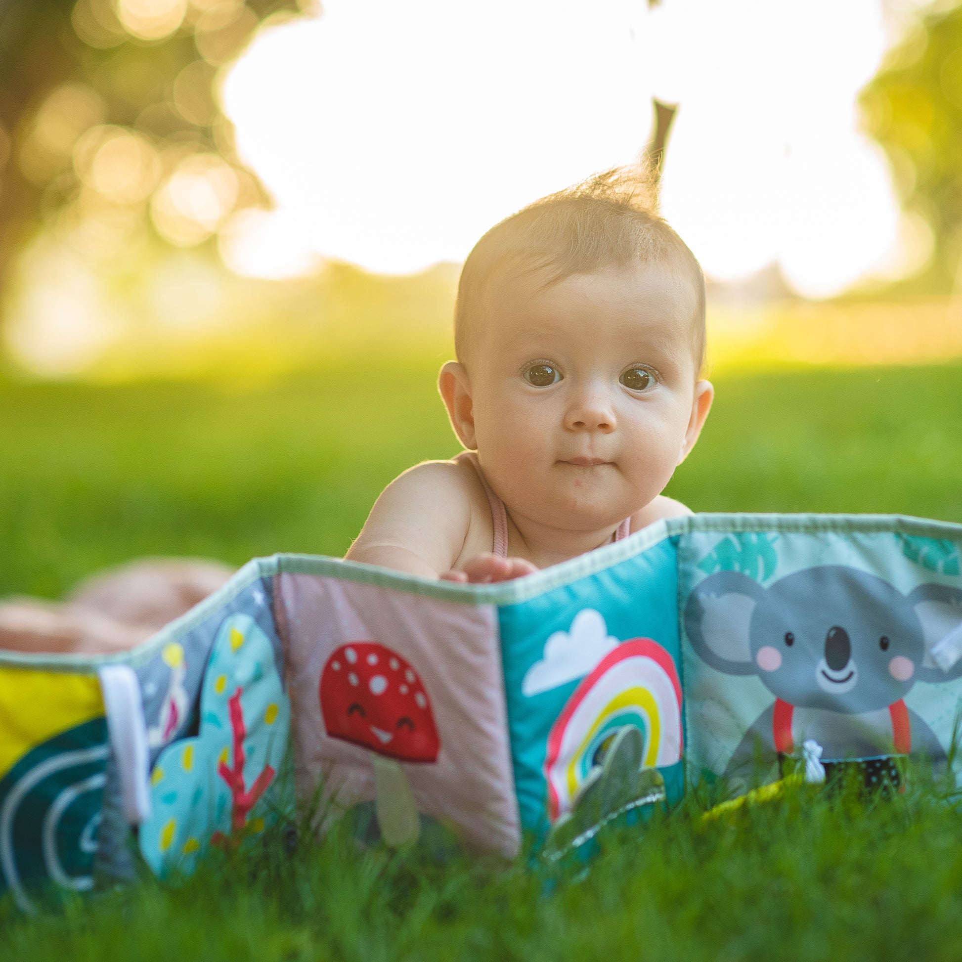 Taf Toys Koala clip on pram book - Marah Kids