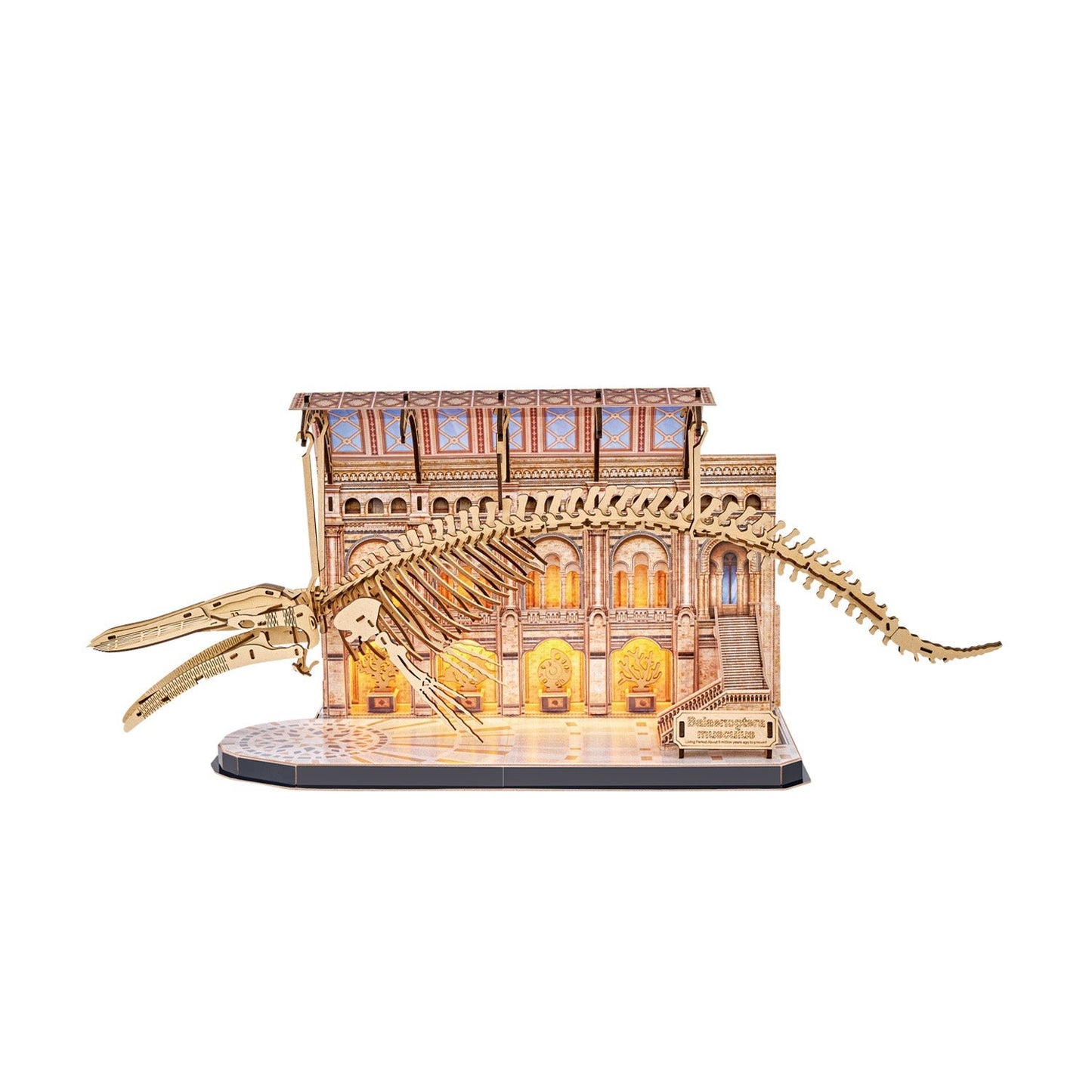 CUBIC FUNun 3D Puzzle Blue Whale (Balaenoptera Musculus) 222 - Pieces - Marah Kids