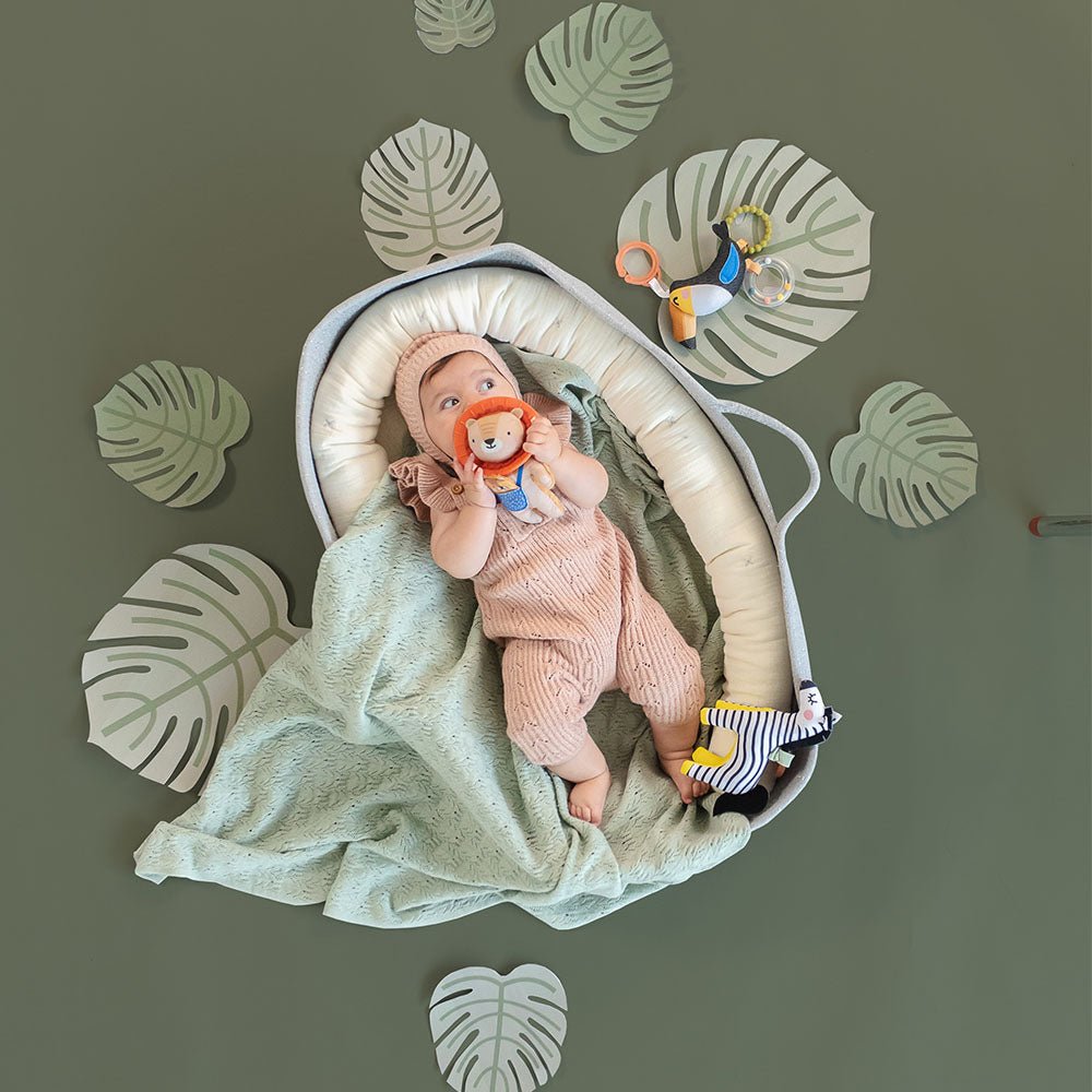 Taf Toys Harry the Lion - Marah Kids