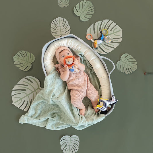 Taf Toys Harry the Lion - Marah Kids