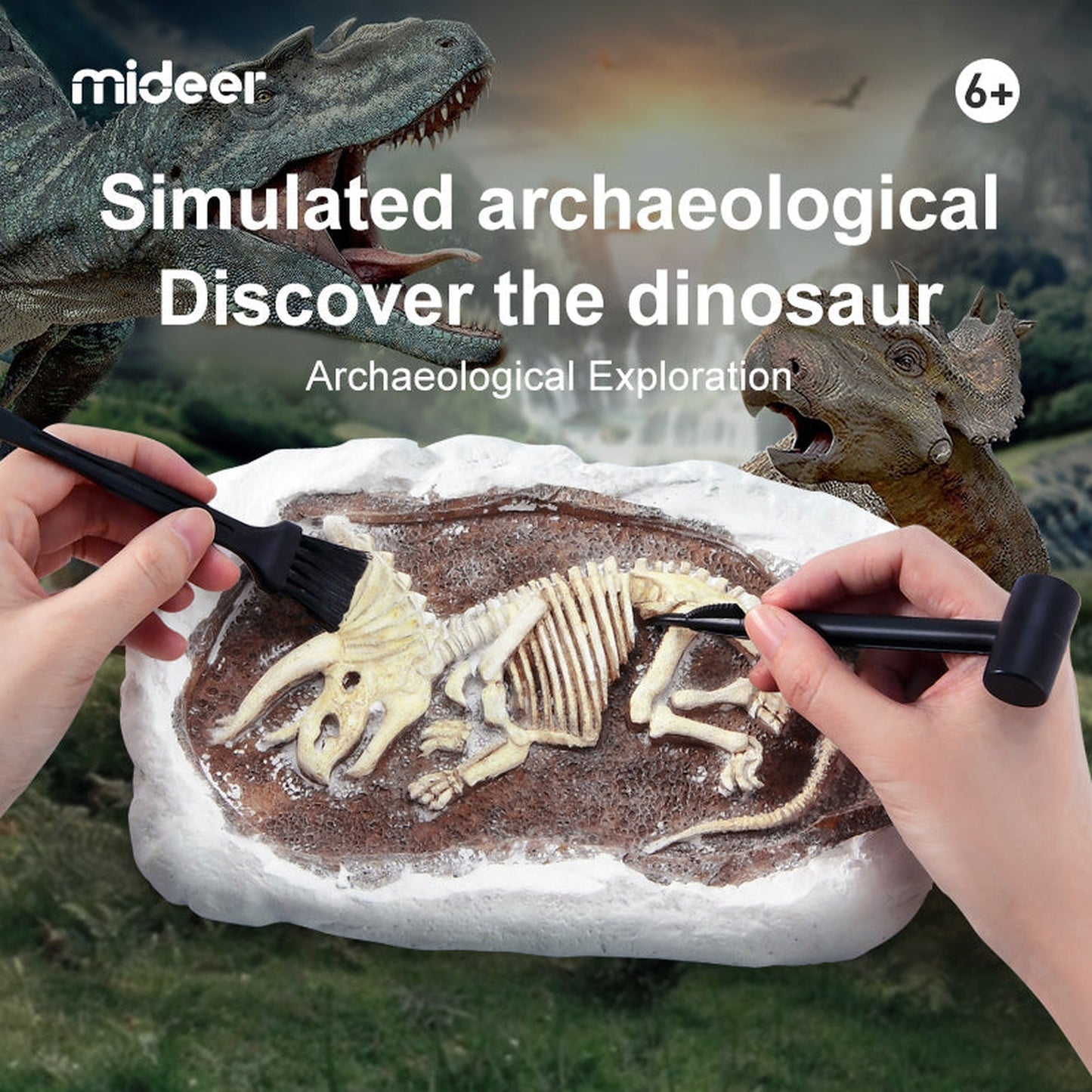 Revive A Pterosaur - Dig A Dinosaur Kit