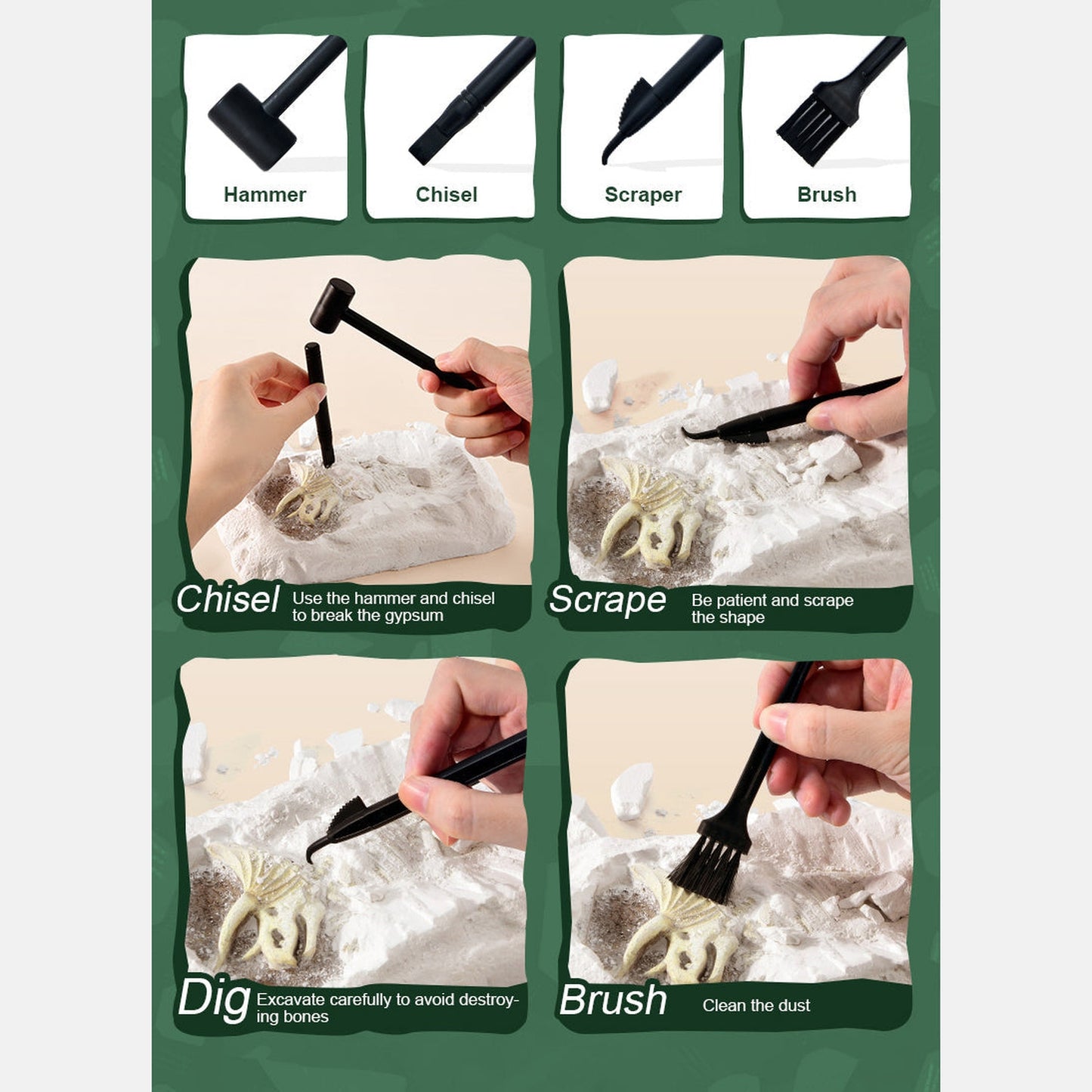 Revive A Pterosaur - Dig A Dinosaur Kit