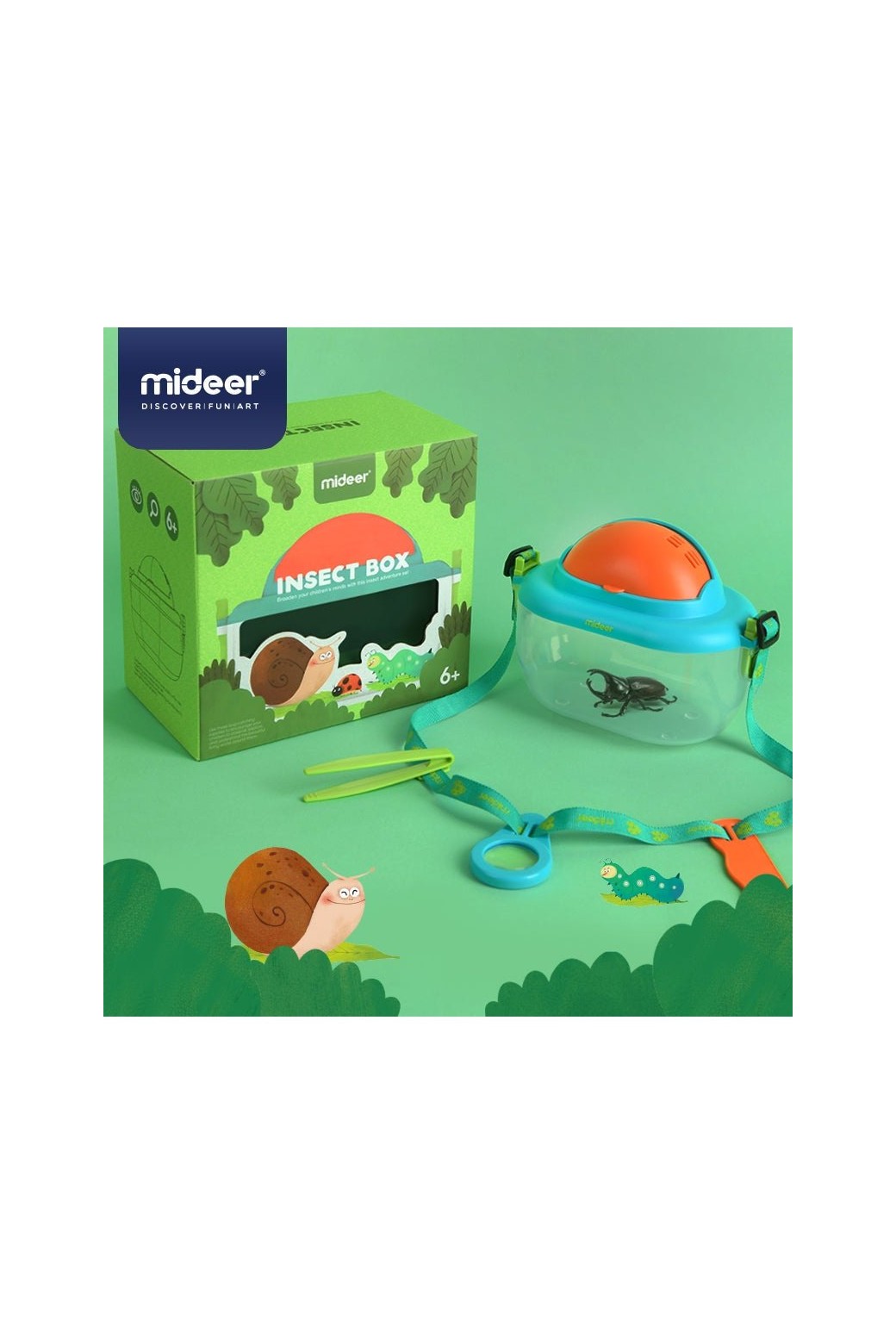 Insect Box