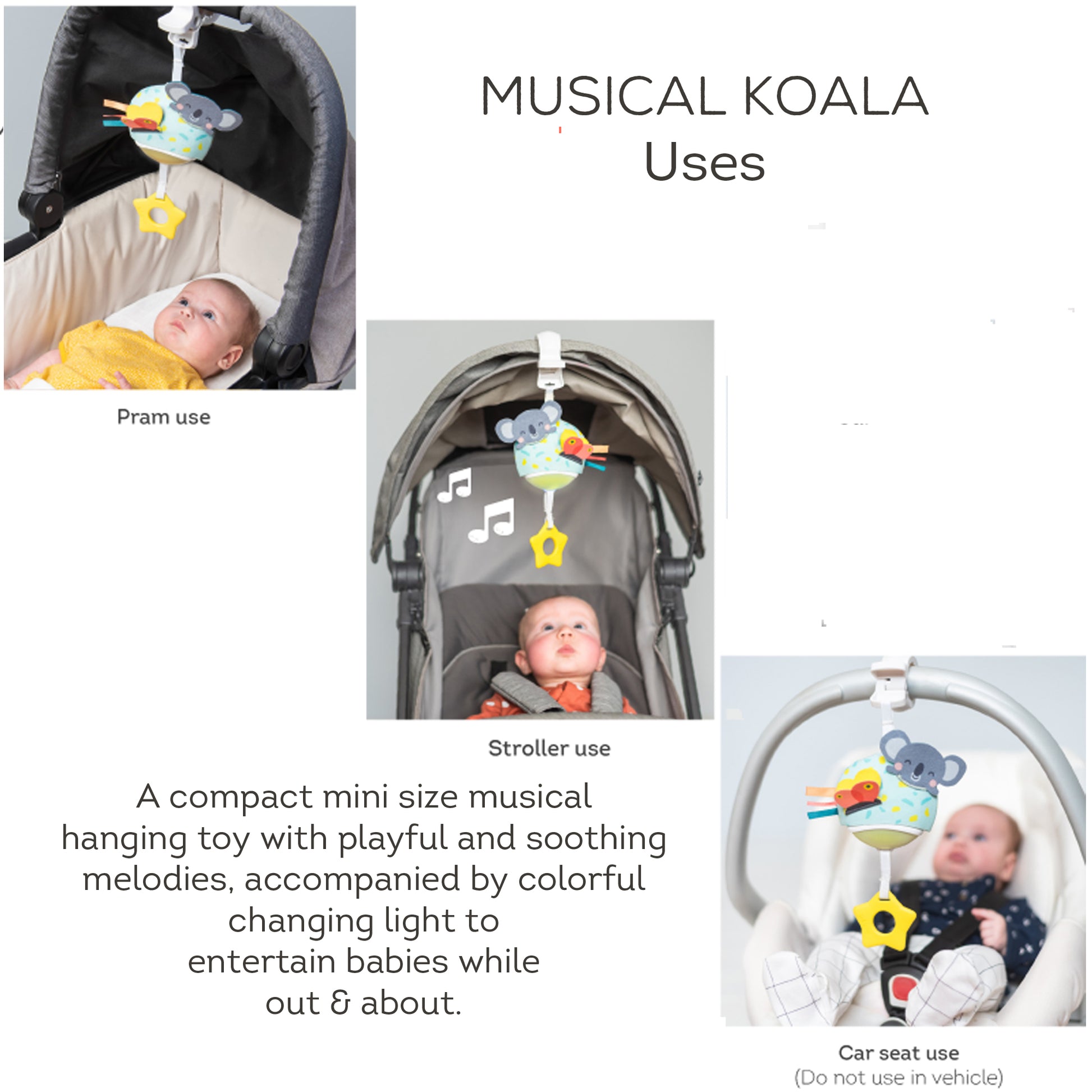 Taf Toys - Musical Koala - Marah Kids
