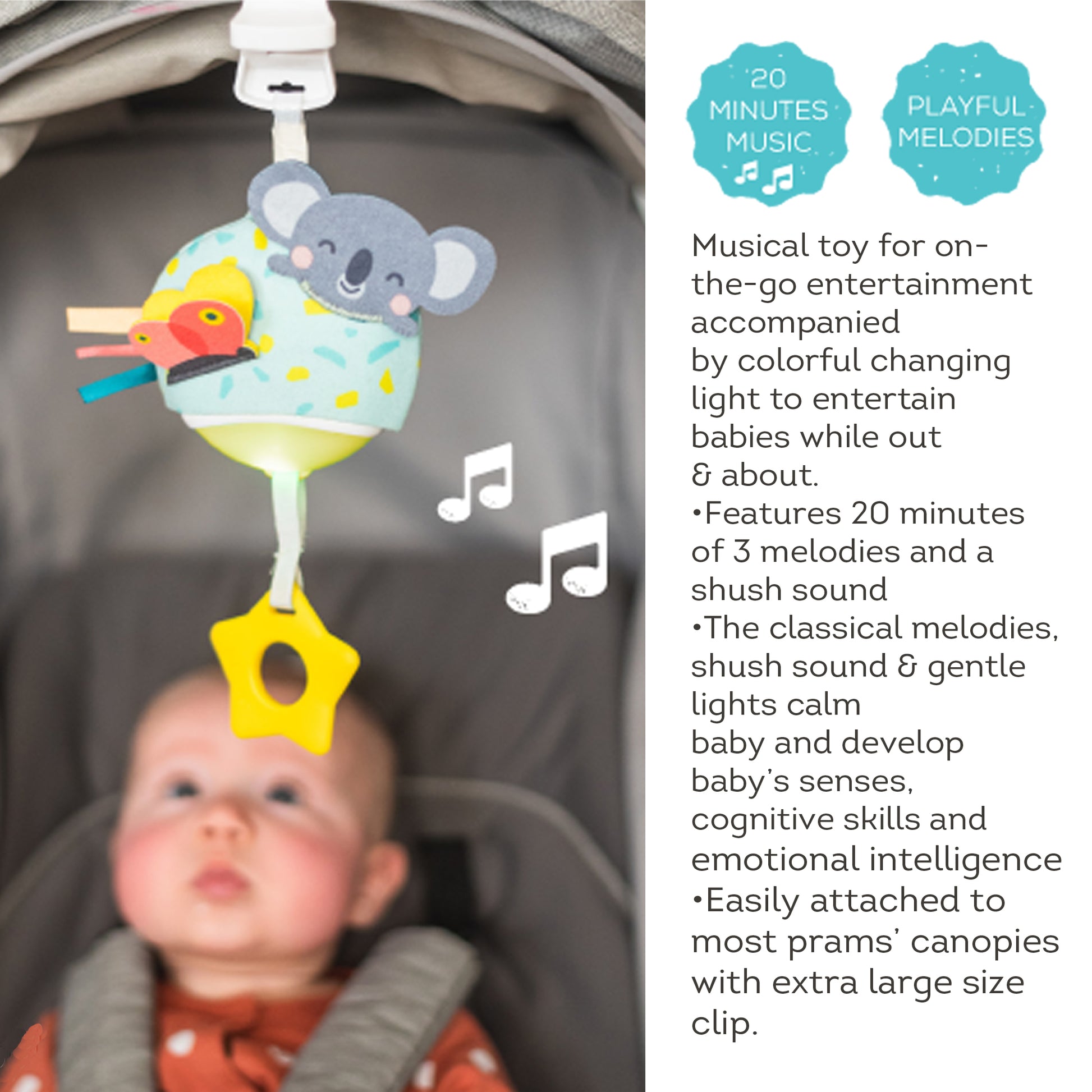 Taf Toys - Musical Koala - Marah Kids