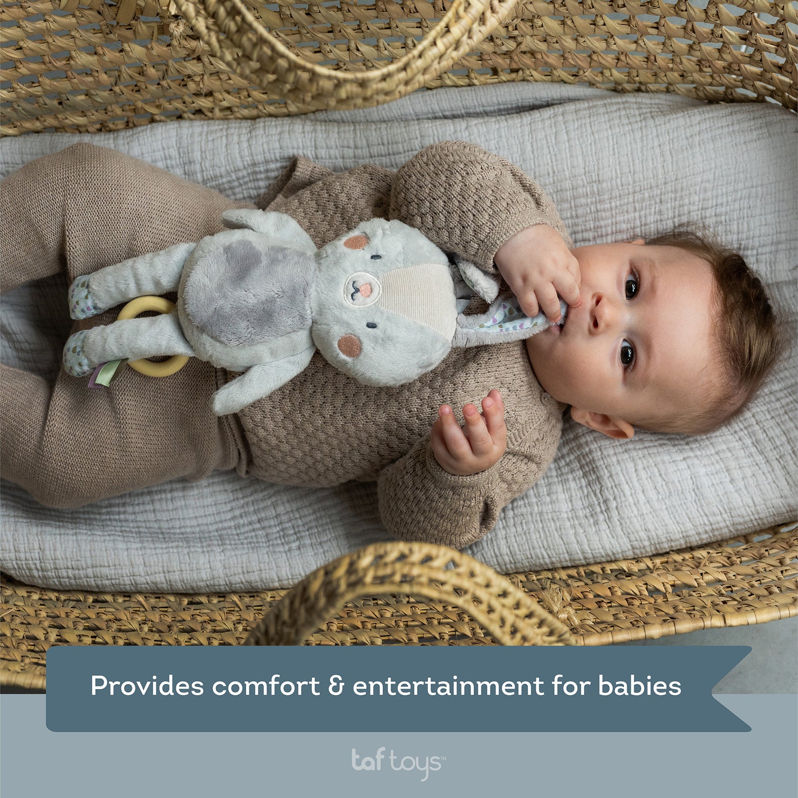 Taf Toys - Rylee Musical Bunny - Marah Kids