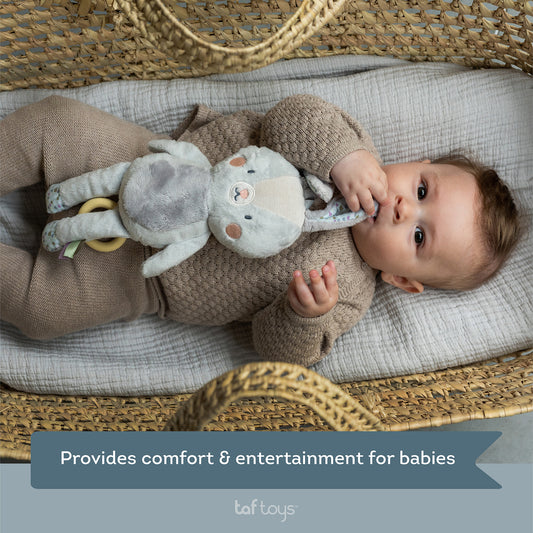 Taf Toys - Rylee Musical Bunny - Marah Kids